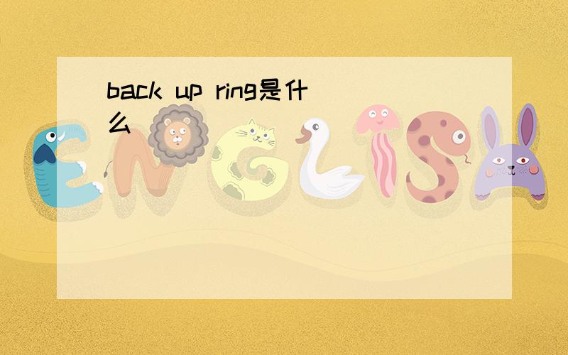 back up ring是什么