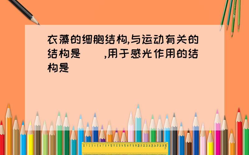 衣藻的细胞结构,与运动有关的结构是（）,用于感光作用的结构是（）