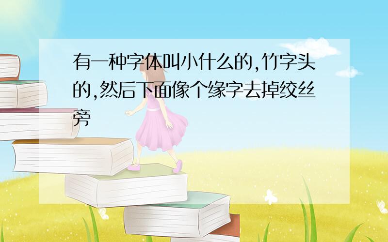 有一种字体叫小什么的,竹字头的,然后下面像个缘字去掉绞丝旁