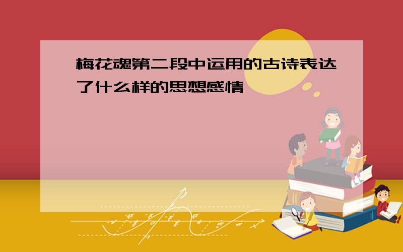 梅花魂第二段中运用的古诗表达了什么样的思想感情