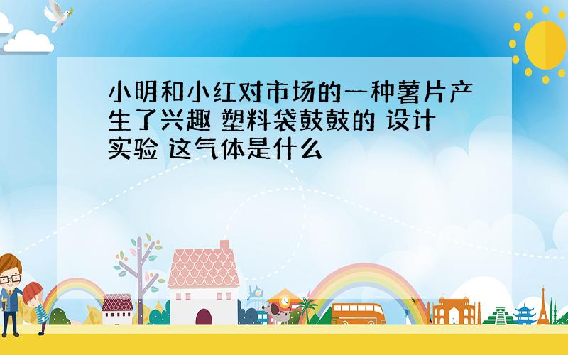 小明和小红对市场的一种薯片产生了兴趣 塑料袋鼓鼓的 设计实验 这气体是什么