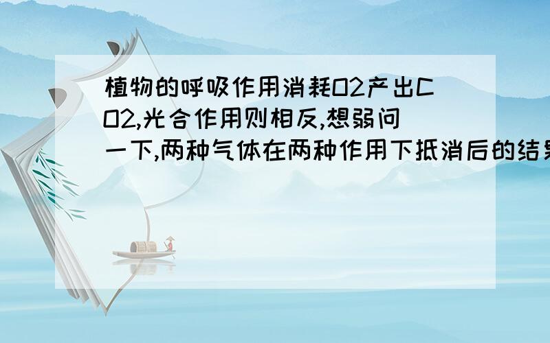 植物的呼吸作用消耗O2产出CO2,光合作用则相反,想弱问一下,两种气体在两种作用下抵消后的结果?