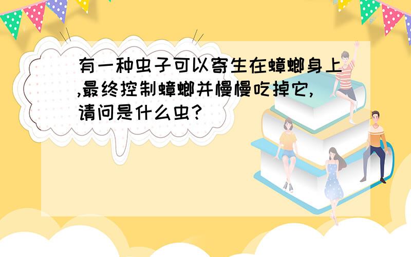 有一种虫子可以寄生在蟑螂身上,最终控制蟑螂并慢慢吃掉它,请问是什么虫?