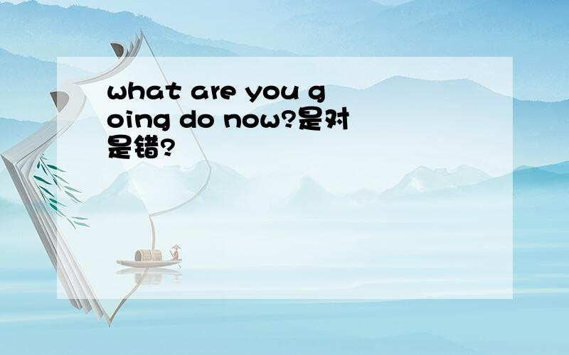 what are you going do now?是对是错?