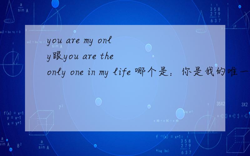 you are my only跟you are the only one in my life 哪个是：你是我的唯一?