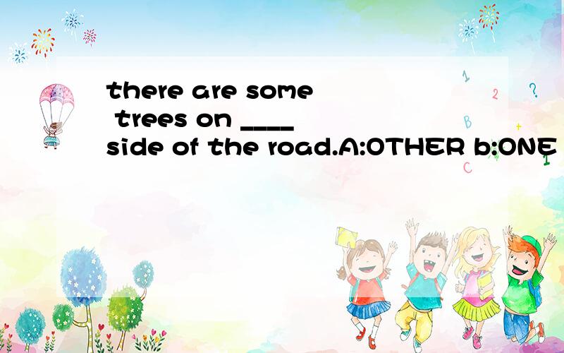 there are some trees on ____side of the road.A:OTHER b:ONE c