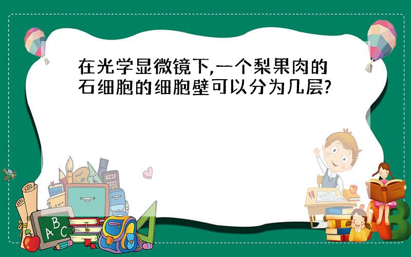 在光学显微镜下,一个梨果肉的石细胞的细胞壁可以分为几层?