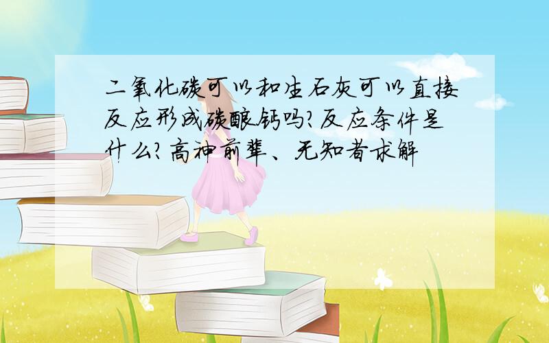 二氧化碳可以和生石灰可以直接反应形成碳酸钙吗?反应条件是什么?高神前辈、无知者求解