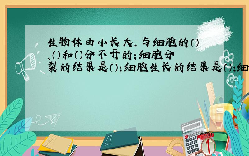 生物体由小长大,与细胞的（）、（）和（）分不开的；细胞分裂的结果是（）；细胞生长的结果是（）;细胞分