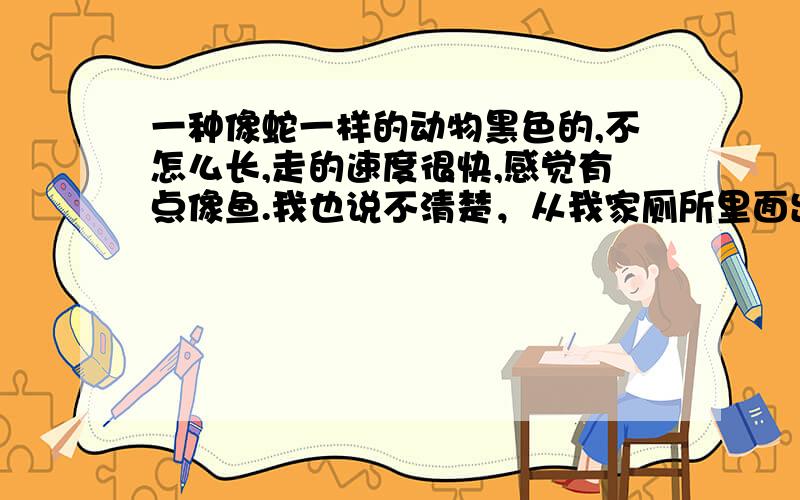 一种像蛇一样的动物黑色的,不怎么长,走的速度很快,感觉有点像鱼.我也说不清楚，从我家厕所里面出来的是美味吗？还会爬墙 （