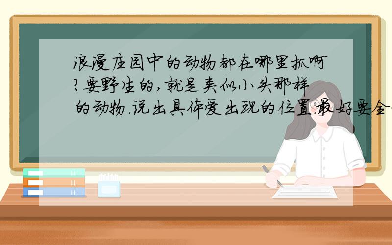 浪漫庄园中的动物都在哪里抓啊?要野生的,就是类似小头那样的动物.说出具体爱出现的位置.最好要全一点!