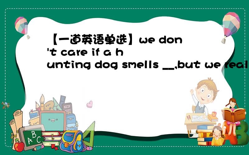 【一道英语单选】we don't care if a hunting dog smells __,but we real