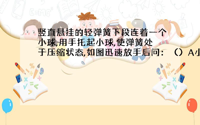 竖直悬挂的轻弹簧下段连着一个小球,用手托起小球,使弹簧处于压缩状态,如图迅速放手后问：（）A小球开始向下作匀加速运动B小