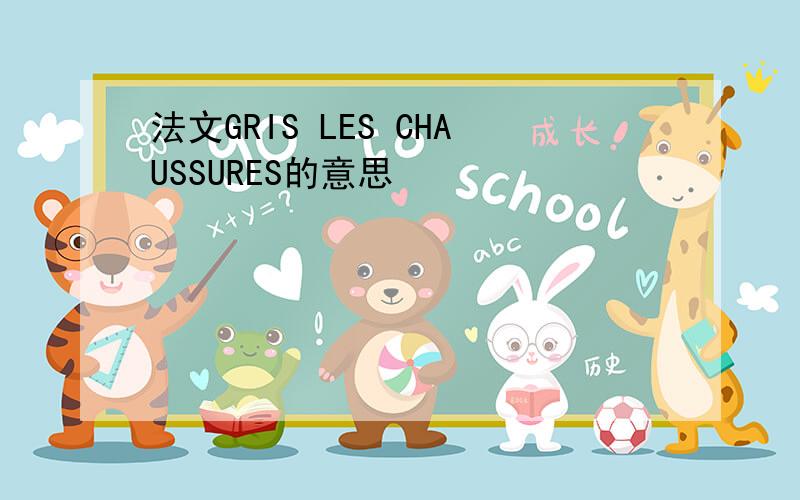 法文GRIS LES CHAUSSURES的意思