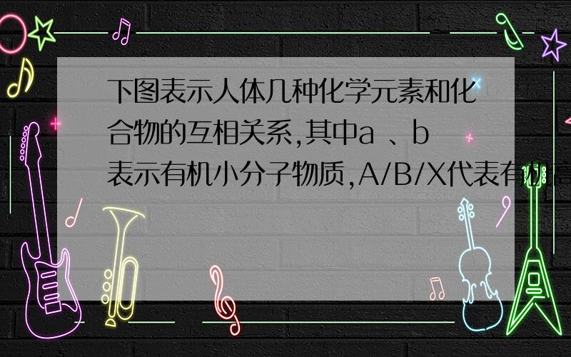 下图表示人体几种化学元素和化合物的互相关系,其中a 、b表示有机小分子物质,A/B/X代表有机高分子物质,