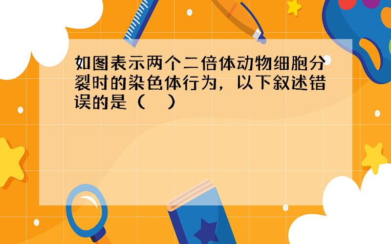 如图表示两个二倍体动物细胞分裂时的染色体行为，以下叙述错误的是（　　）