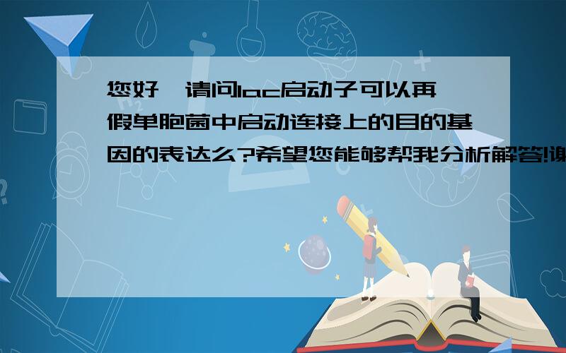 您好,请问lac启动子可以再假单胞菌中启动连接上的目的基因的表达么?希望您能够帮我分析解答!谢谢!