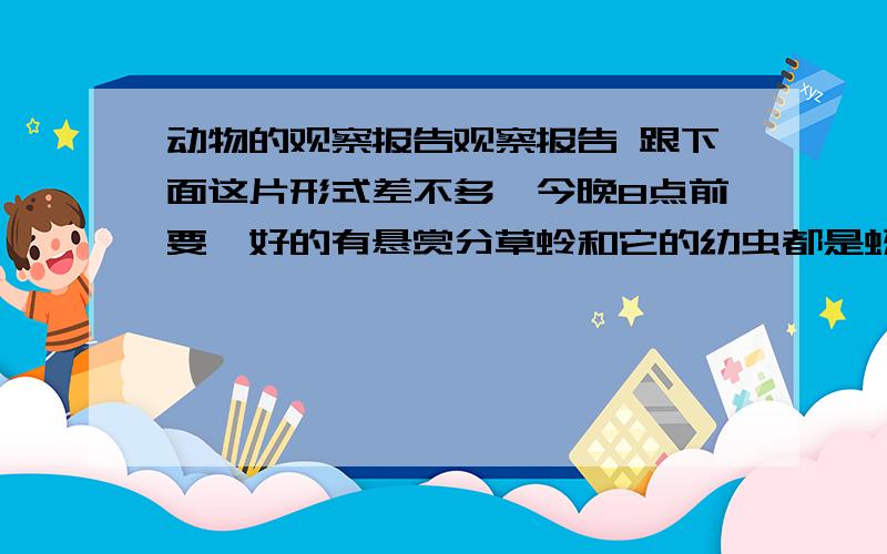 动物的观察报告观察报告 跟下面这片形式差不多,今晚8点前要,好的有悬赏分草蛉和它的幼虫都是蚜虫的天敌.我用放大镜观察到草