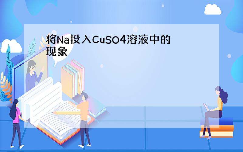 将Na投入CuSO4溶液中的现象