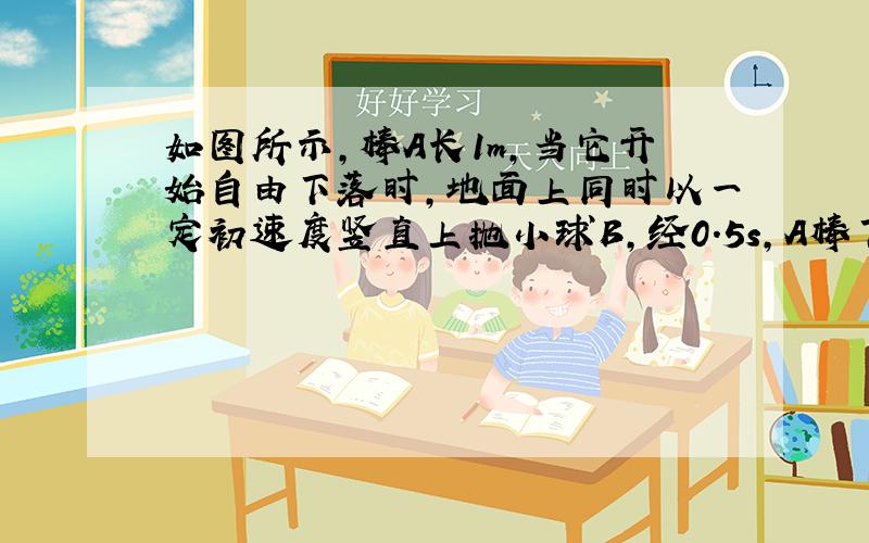 如图所示，棒A长1m，当它开始自由下落时，地面上同时以一定初速度竖直上抛小球B，经0.5s，A棒下端与B球相遇且球B经过