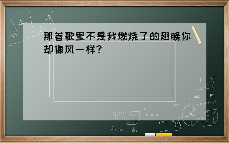 那首歌里不是我燃烧了的翅膀你却像风一样?