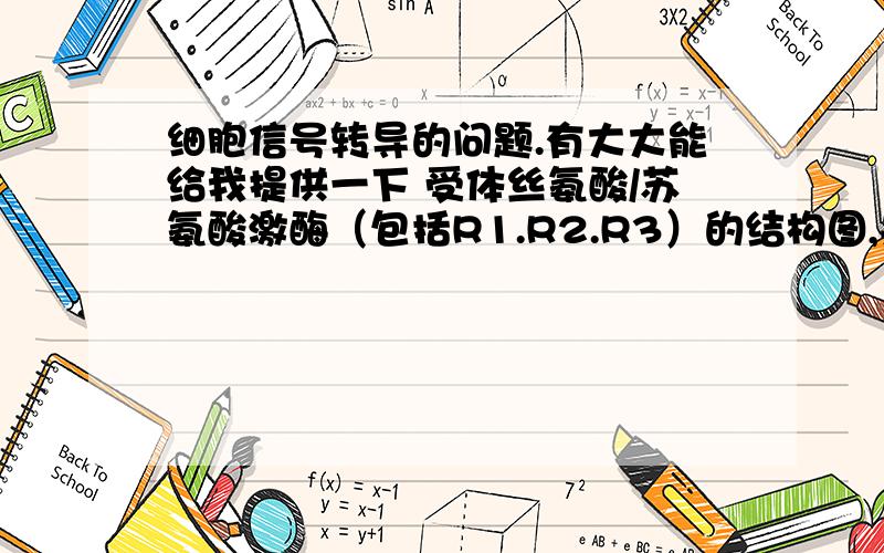 细胞信号转导的问题.有大大能给我提供一下 受体丝氨酸/苏氨酸激酶（包括R1.R2.R3）的结构图,并简要说明下分别作用的