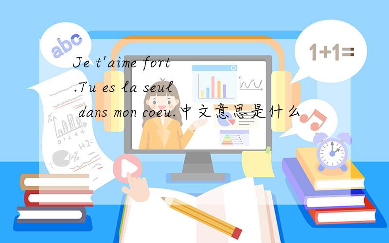 Je t'aime fort.Tu es la seul dans mon coeu.中文意思是什么