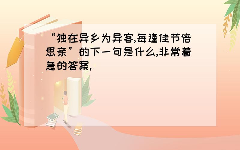 “独在异乡为异客,每逢佳节倍思亲”的下一句是什么,非常着急的答案,