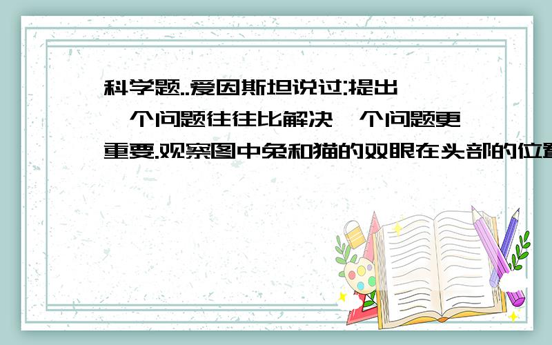 科学题..爱因斯坦说过:提出一个问题往往比解决一个问题更重要.观察图中兔和猫的双眼在头部的位置,