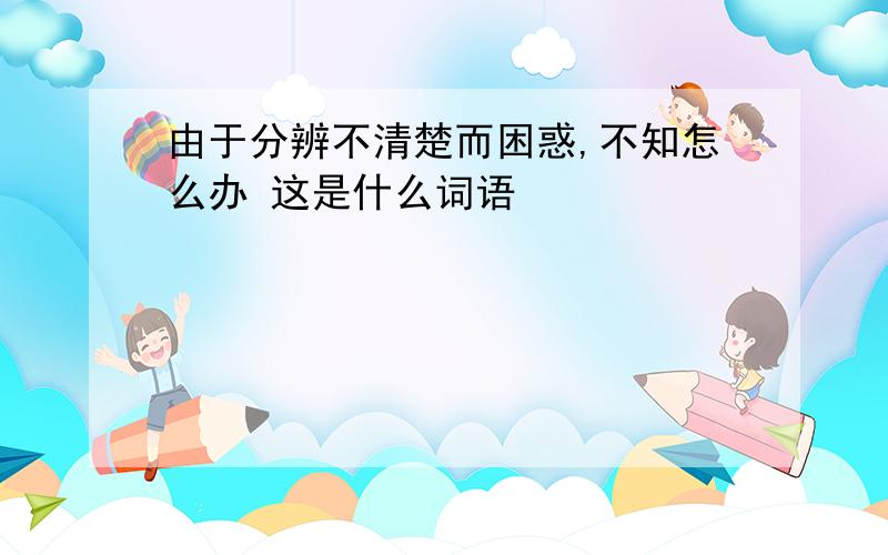 由于分辨不清楚而困惑,不知怎么办 这是什么词语