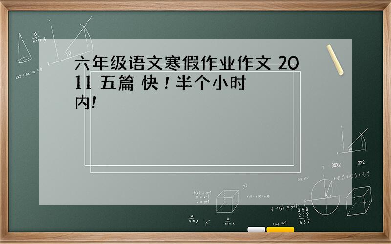 六年级语文寒假作业作文 2011 五篇 快 ! 半个小时内!