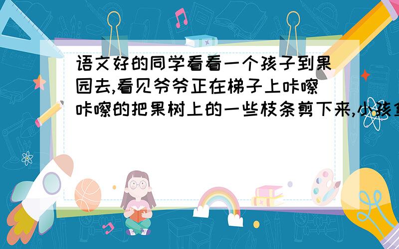 语文好的同学看看一个孩子到果园去,看见爷爷正在梯子上咔嚓咔嚓的把果树上的一些枝条剪下来,小孩拿起枝条,说：“爷爷,它们长