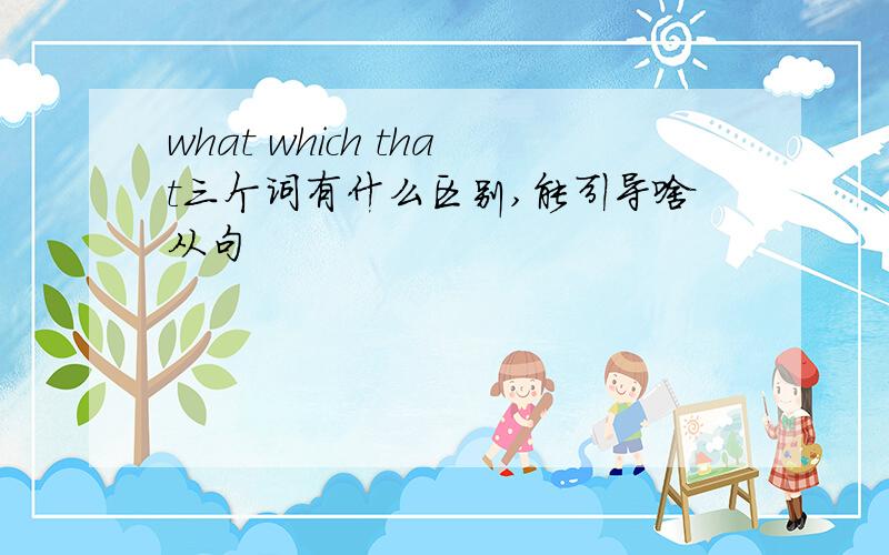 what which that三个词有什么区别,能引导啥从句