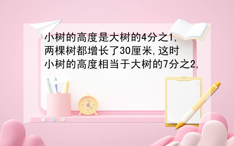 小树的高度是大树的4分之1,两棵树都增长了30厘米,这时小树的高度相当于大树的7分之2,