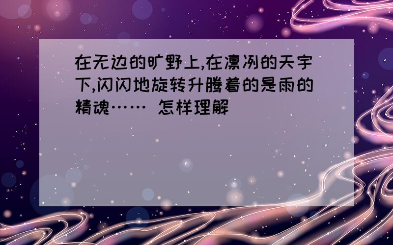 在无边的旷野上,在凛冽的天宇下,闪闪地旋转升腾着的是雨的精魂…… 怎样理解