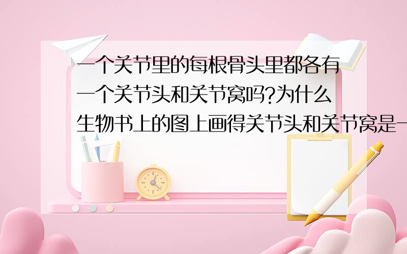 一个关节里的每根骨头里都各有一个关节头和关节窝吗?为什么生物书上的图上画得关节头和关节窝是一个地方