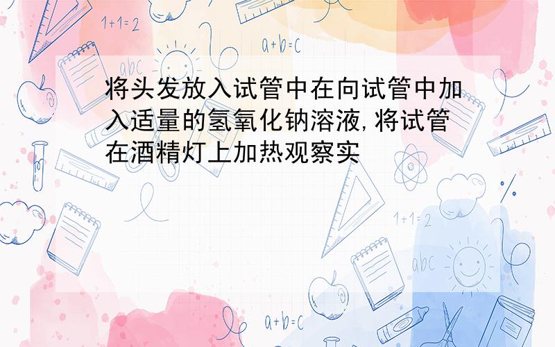 将头发放入试管中在向试管中加入适量的氢氧化钠溶液,将试管在酒精灯上加热观察实