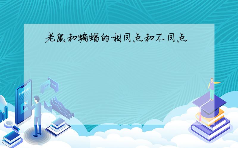 老鼠和蝙蝠的相同点和不同点