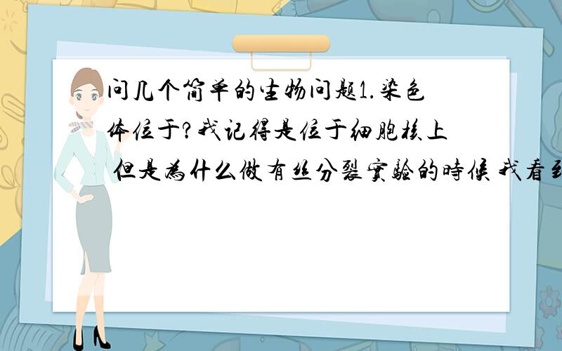 问几个简单的生物问题1.染色体位于?我记得是位于细胞核上 但是为什么做有丝分裂实验的时候 我看到染色体好像不在细胞核上