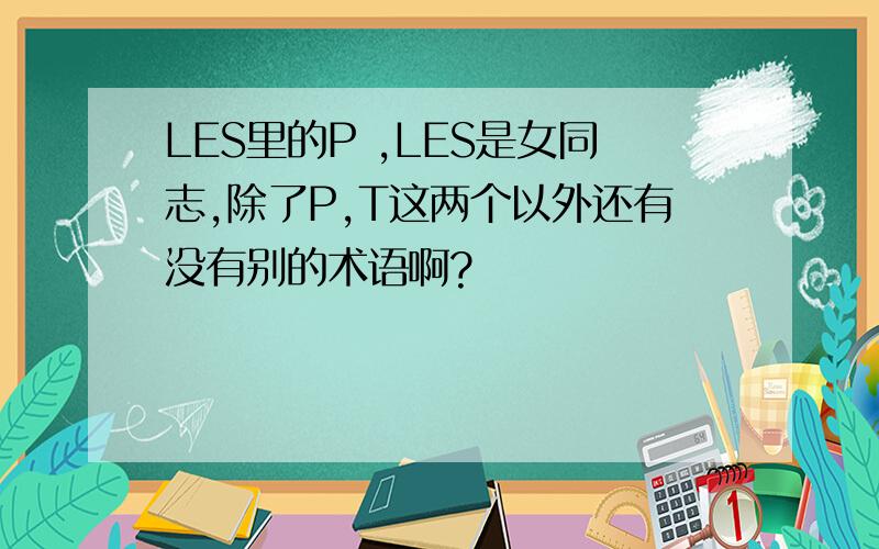 LES里的P ,LES是女同志,除了P,T这两个以外还有没有别的术语啊?