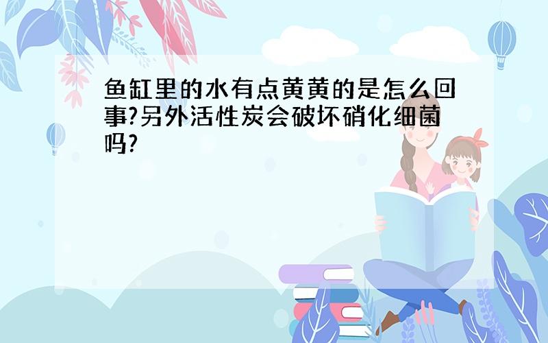 鱼缸里的水有点黄黄的是怎么回事?另外活性炭会破坏硝化细菌吗?