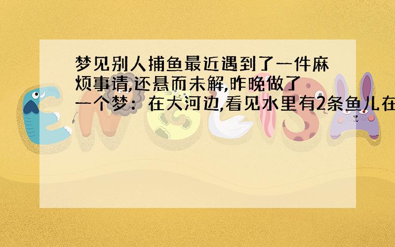 梦见别人捕鱼最近遇到了一件麻烦事请,还悬而未解,昨晚做了一个梦：在大河边,看见水里有2条鱼儿在游动,然后看到被人用大网网