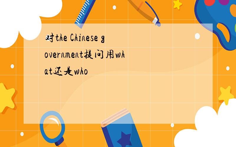 对the Chinese government提问用what还是who