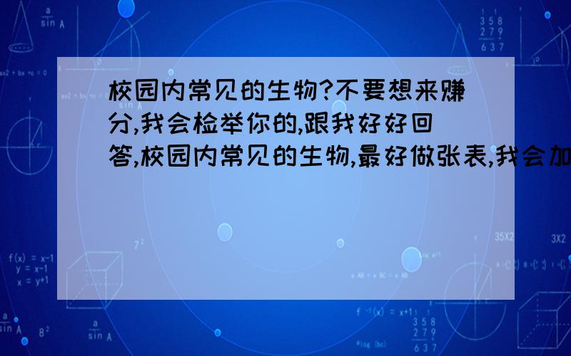 校园内常见的生物?不要想来赚分,我会检举你的,跟我好好回答,校园内常见的生物,最好做张表,我会加分的,努力~~~~~速度