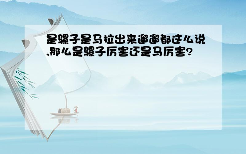 是骡子是马拉出来遛遛都这么说,那么是骡子厉害还是马厉害?