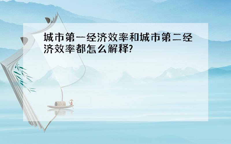 城市第一经济效率和城市第二经济效率都怎么解释?