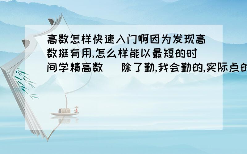 高数怎样快速入门啊因为发现高数挺有用,怎么样能以最短的时间学精高数 （除了勤,我会勤的,实际点的）