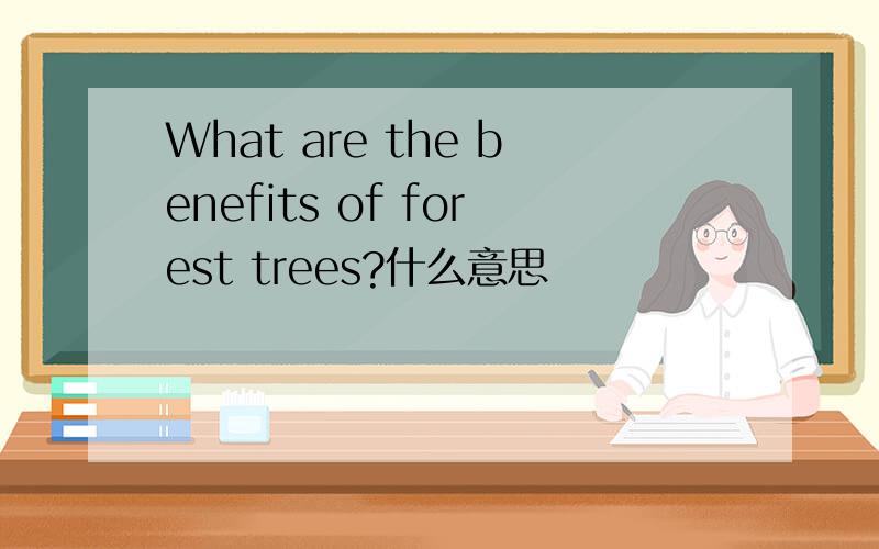 What are the benefits of forest trees?什么意思