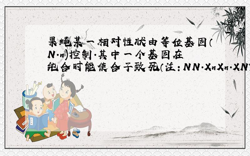 果蝇某一相对性状由等位基因（N.n)控制.其中一个基因在纯合时能使合子致死（注：NN.XnXn.XNY均视为纯合子)有人