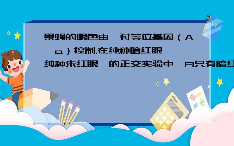 果蝇的眼色由一对等位基因（A,a）控制.在纯种暗红眼♀×纯种朱红眼♂的正交实验中,F1只有暗红眼；在纯种朱红眼♀×纯种暗